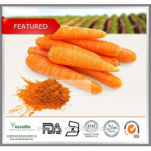 100% natürliches zertifiziertes organisches frisches getrocknetes Karotte-Extrakt-Beta-Carotin-Pulver